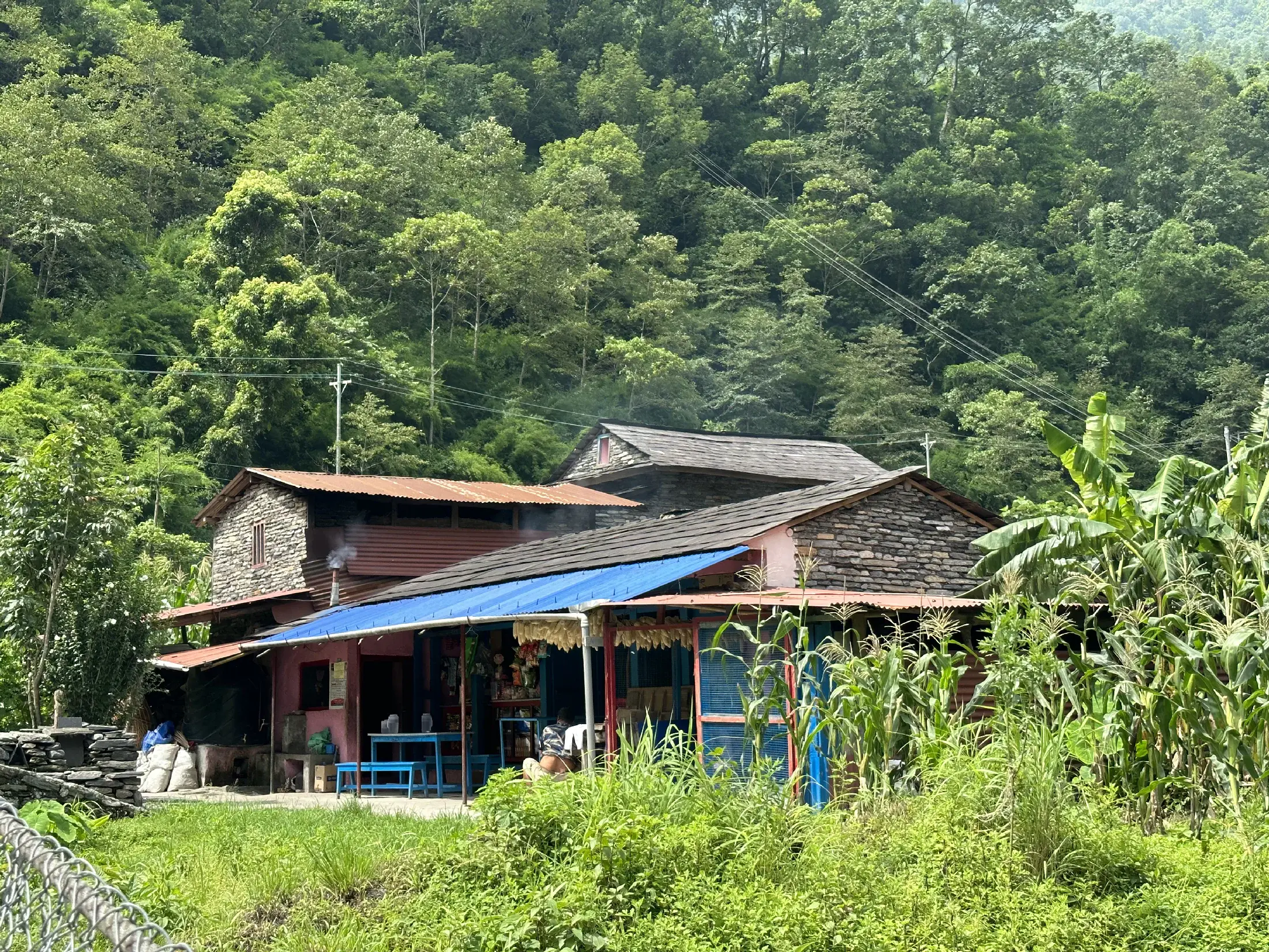 A colourful rural home surrounded by dense green forest and hillside vegetation in Nepal